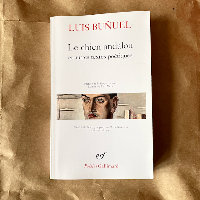 chien andalou